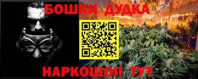 шишки Пушкино