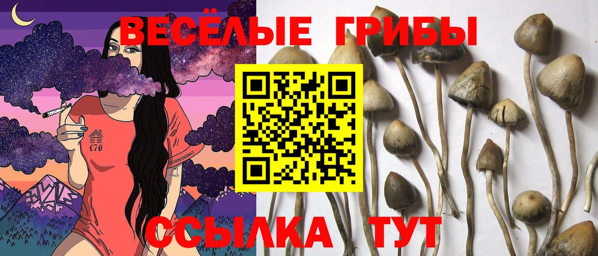 Псилоцибиновые грибы Magic Shrooms  Вход с VPN  Россошь  Галлюциногенные грибы GOLDEN TEACHER 