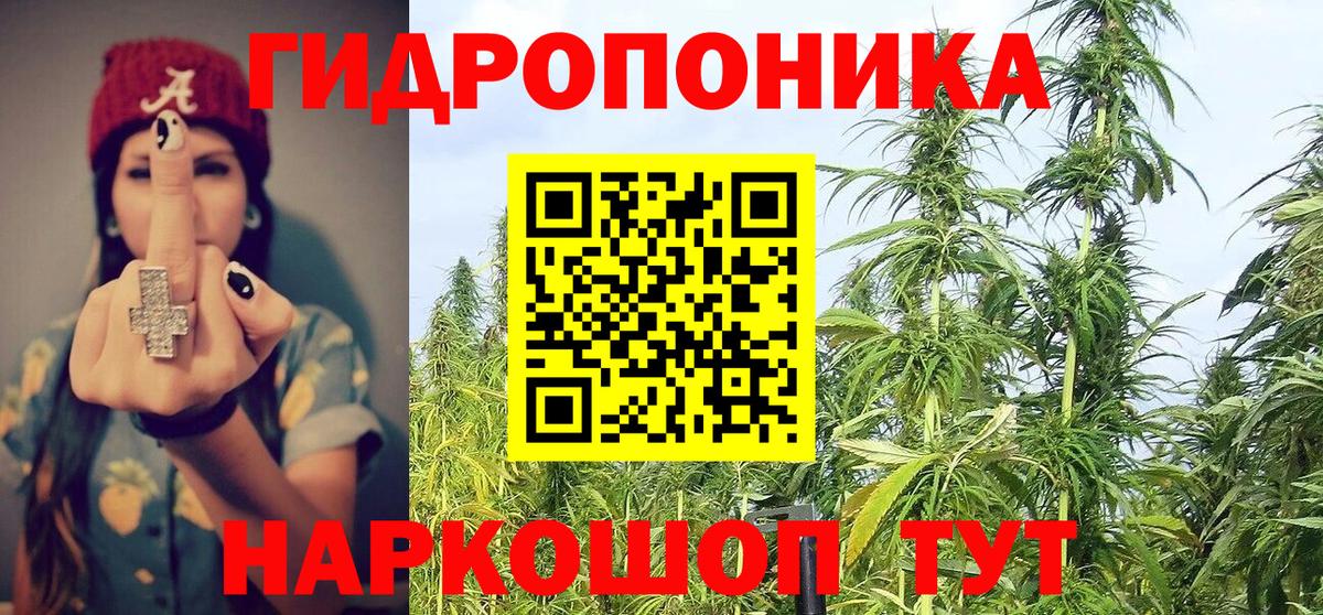 Каннабис планчик  Канабис AK-47  Конопля LSD WEED  Россошь  МАРИХУАНА AK-47  Вход с VPN 